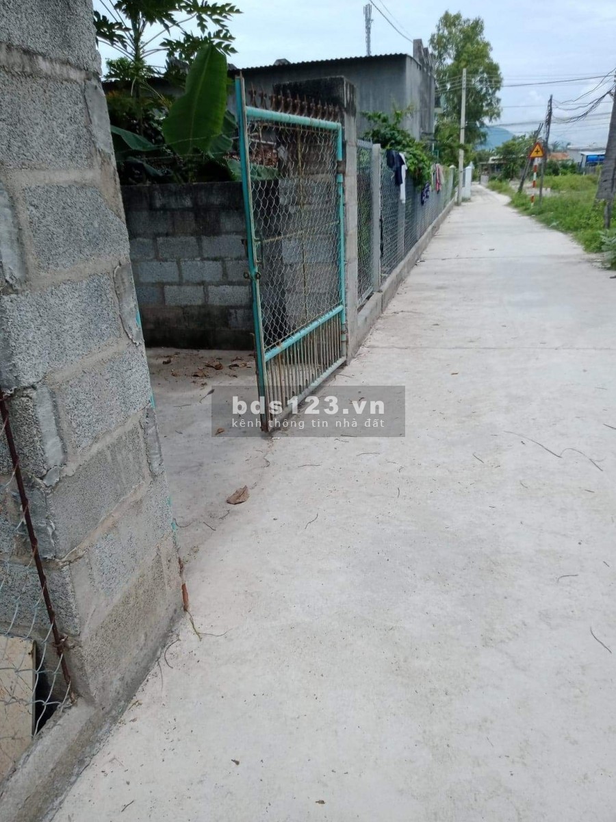 Cần bán gấp lô đất tặng nhà cấp 4 còn mới ngay đầm thủy triều