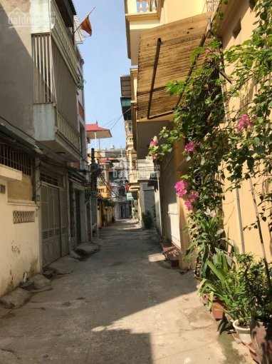 Giáo sư bán đất 35m2 tặng nhà 5 tầng đúc kiên cố