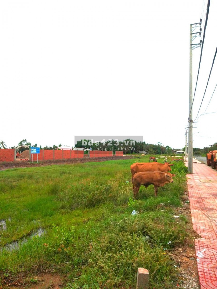 Đất nền chợ mới thạnh Phú CENTER nằm ở trung tâm hành Chánh huyện
