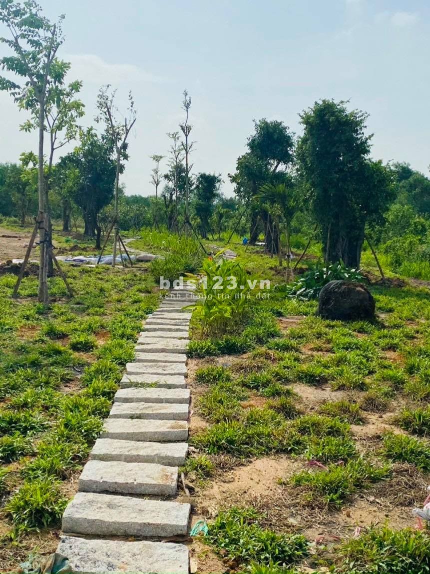 Đất đẹp nằm kế bên khu du lịch sơn tiên sổ riêng thổ cư 100% với giá chỉ 1ty2