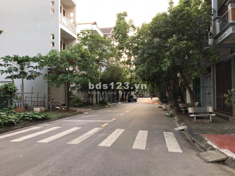 Bán đất mặt phố Đào Duy Từ, Đông Nam Cường, TP HD 216m2, mt 12m, đường 13.5m, giá cực tốt