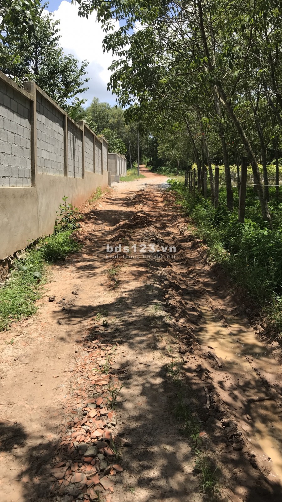 Bán đất tiềm năng Bến Cát, Bình Dương, diện tích 1700m2
