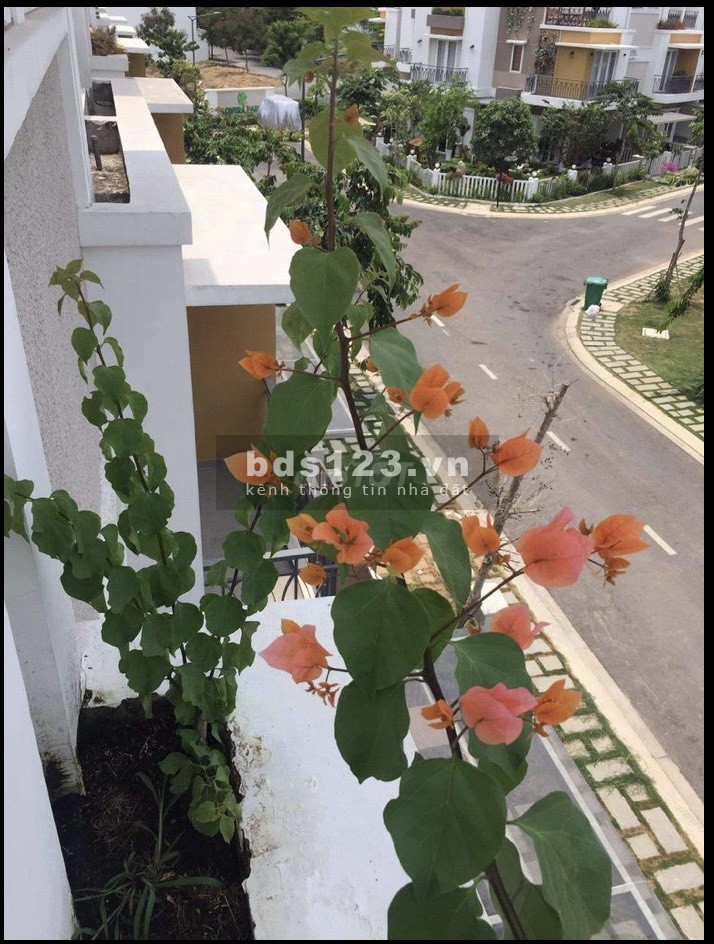 Chính chủ cho thuê nhà mới xây liền kề 5x20 tại Trịnh Quang Nghị Phong Phú BChánh