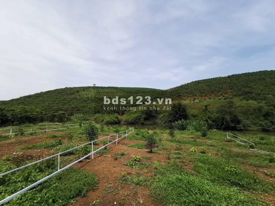 Đất Bảo Lộc đường Nguyễn Tri Phương diện tích 137m2 giá 1 tỷ 5