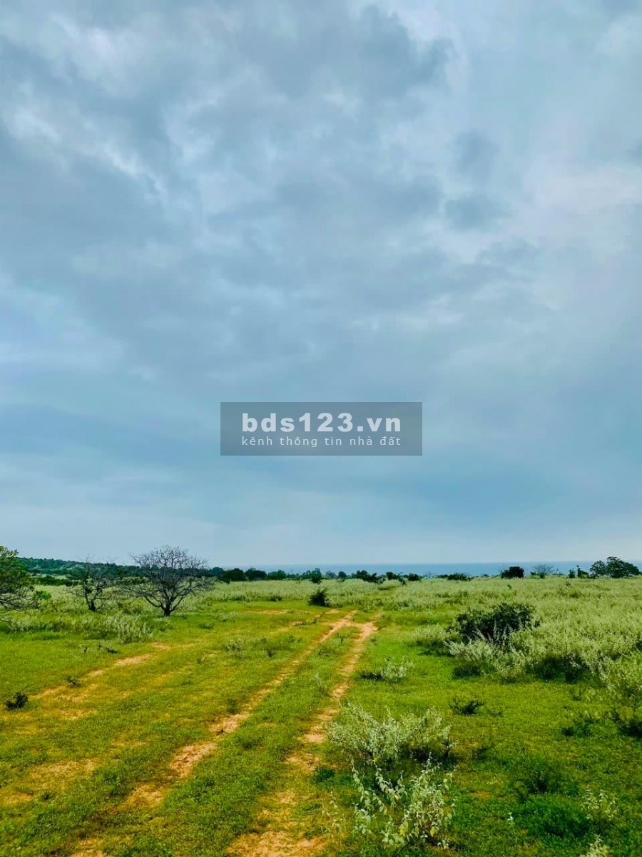 Bán đất xã Hồng Thái 7646m2 mặt tiền đường đất giá 990 triệu.Sổ hồng riêng