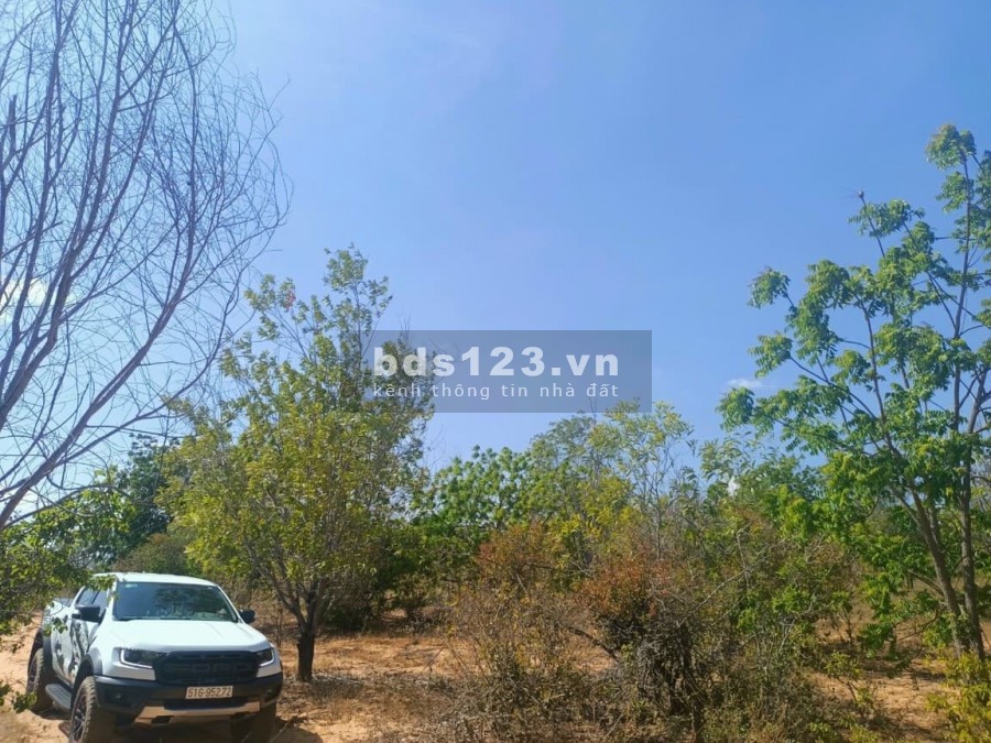 Bán đất xã Hồng Thái 7646m2 mặt tiền đường đất giá 990 triệu.Sổ hồng riêng