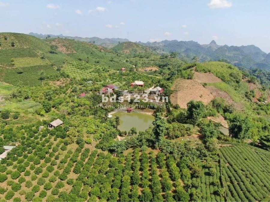 Lô đất Mộc Châu mang giá trị vàng cho nhà đầu tư 0822356688