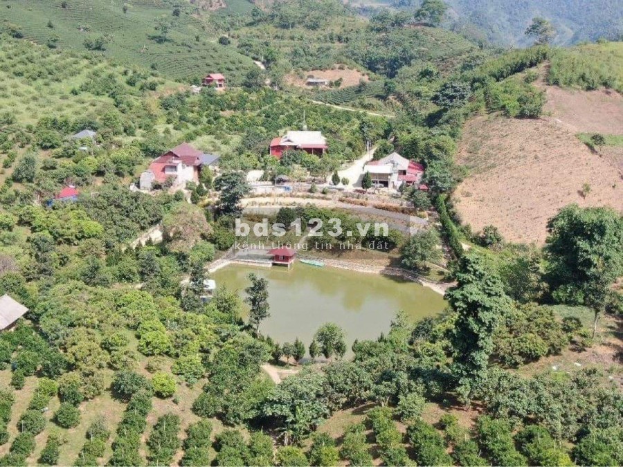Lô đất Mộc Châu mang giá trị vàng cho nhà đầu tư 0822356688