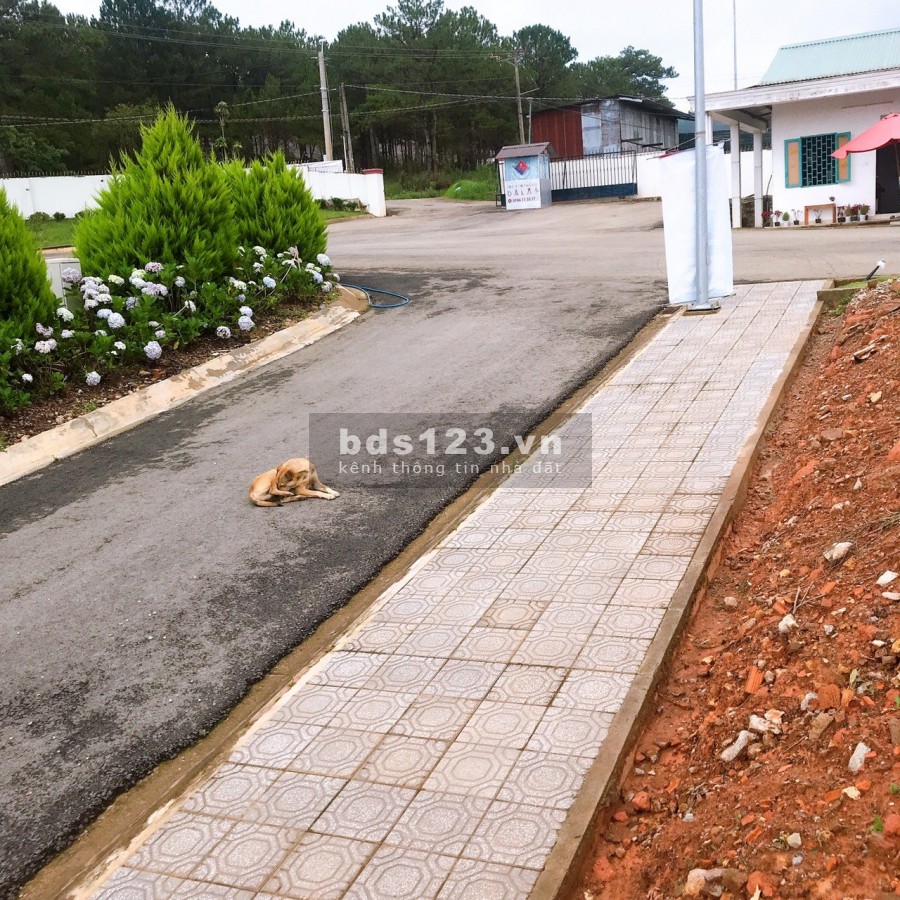 Đất nền giá rẻ Đà Lạt 276m2 FULL thổ, thành phố Đà Lạt