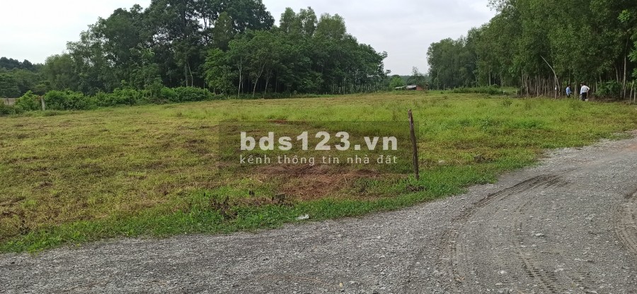 Đất phân lô Tân Uyên giá rẽ cho nhà đầu tư, giá 1.35 tỷ
