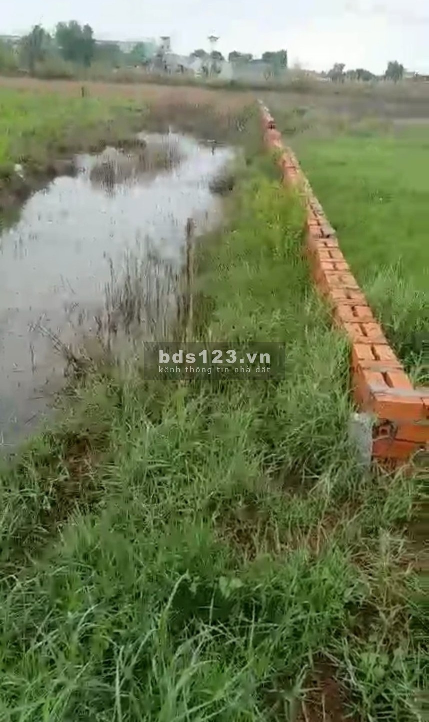 Mã tin 396 Đất ở vị trí đẹp, lộ 8 m! Chủ đất cần chuyển nhượng gấp ĐẤT NỀN tại phường 7, Tp. Cà Mau
