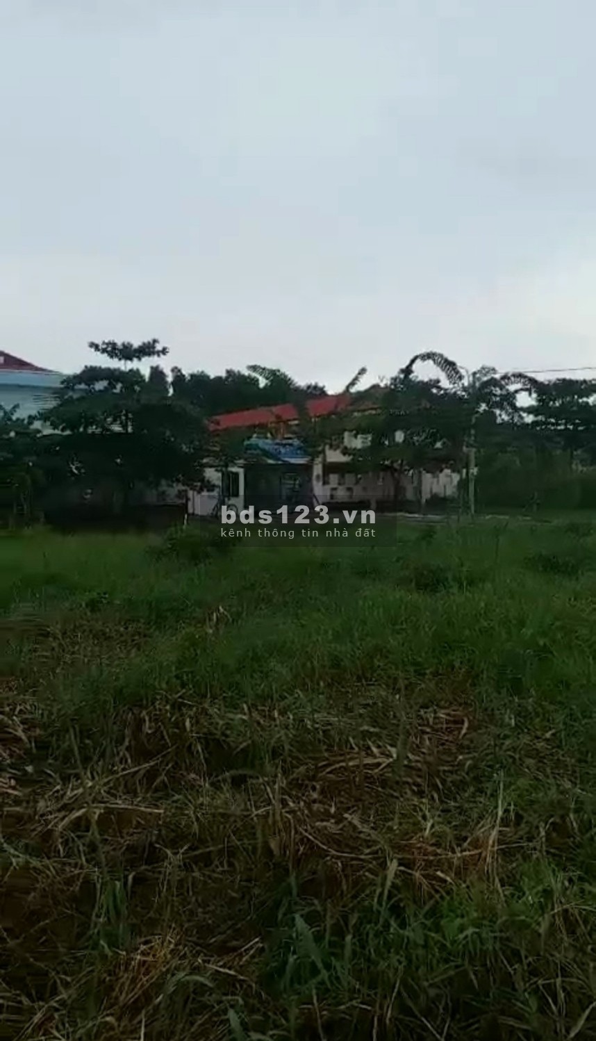Mã tin 396 Đất ở vị trí đẹp, lộ 8 m! Chủ đất cần chuyển nhượng gấp ĐẤT NỀN tại phường 7, Tp. Cà Mau
