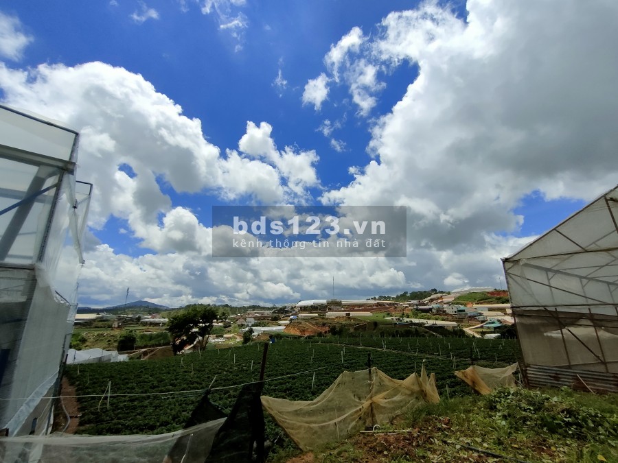 Bán đất giá F0 chính chủ, sổ riêng, đầu tư sinh lời, giá 470 triệu