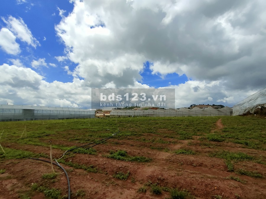 Bán đất giá F0 chính chủ, sổ riêng, đầu tư sinh lời, giá 470 triệu