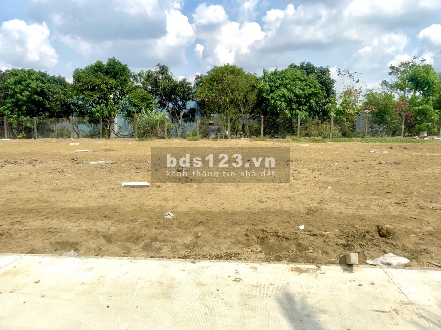Bán đất nền Tân Lân, huyện Cần Đước tỉnh Long An