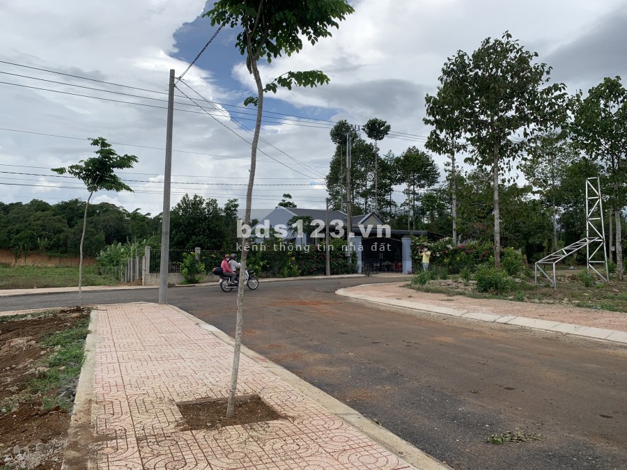 Cần tiền xoay mùa dịch ra gấp lô đất ở Hắc Dịch
