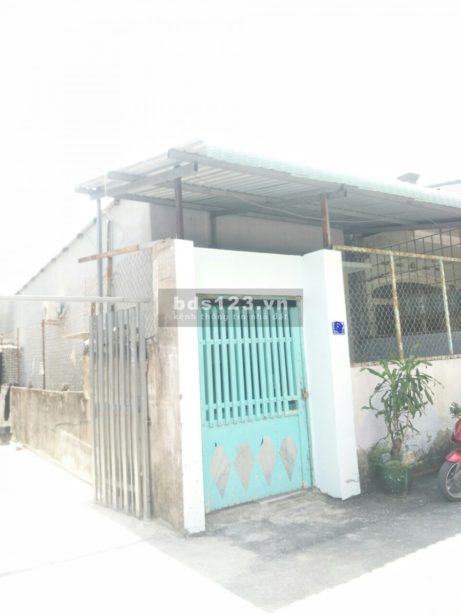 Nhà cấp 4 HXH đậu được trước nhà 2pn, đường 11