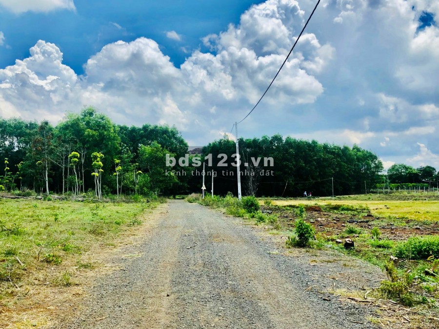 Bán đất giá rẻ Long Tân đất đỏ sổ đỏ từng nền