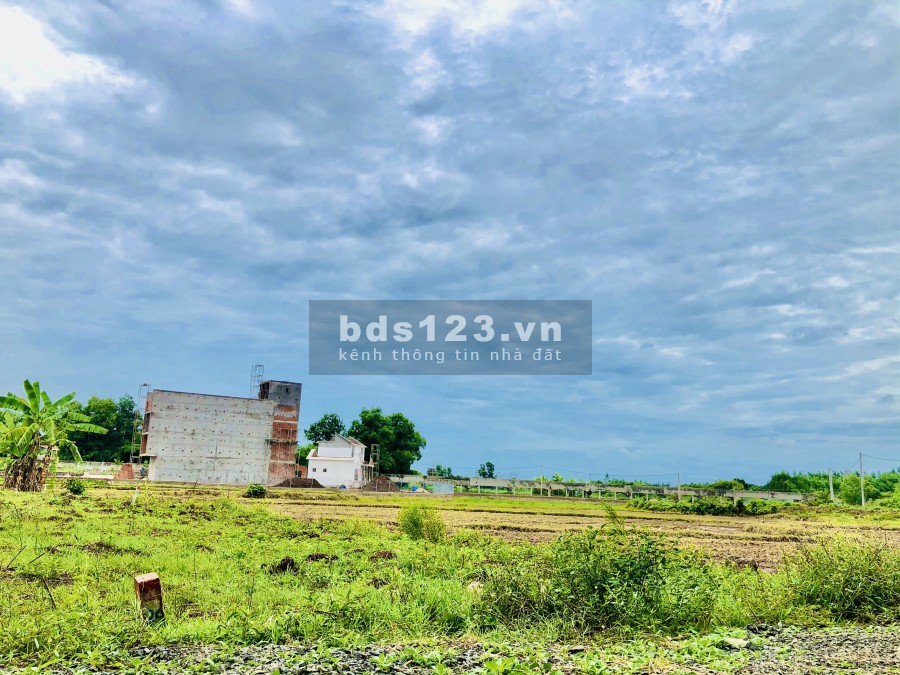Bán đất giá rẻ Long Tân đất đỏ sổ đỏ từng nền