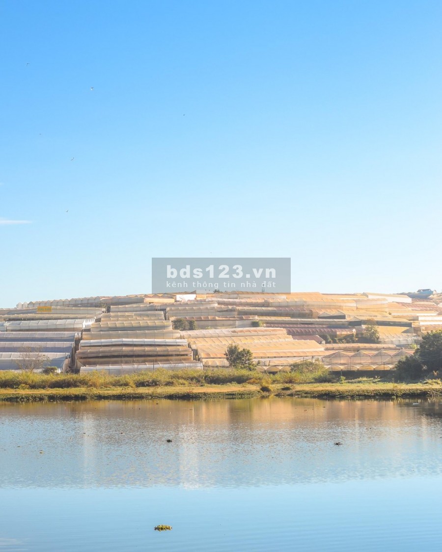 Đất nền giá rẻ Đà Lạt Sẵn sổ 276m2 FULL thổ
