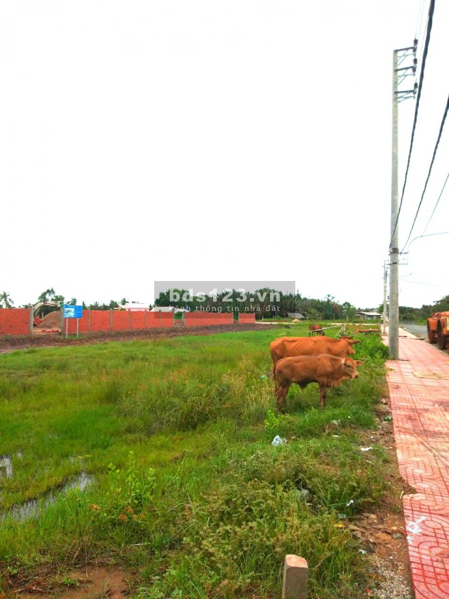 Cần sang nhượng đất đối diện chợ, lh 0976419926