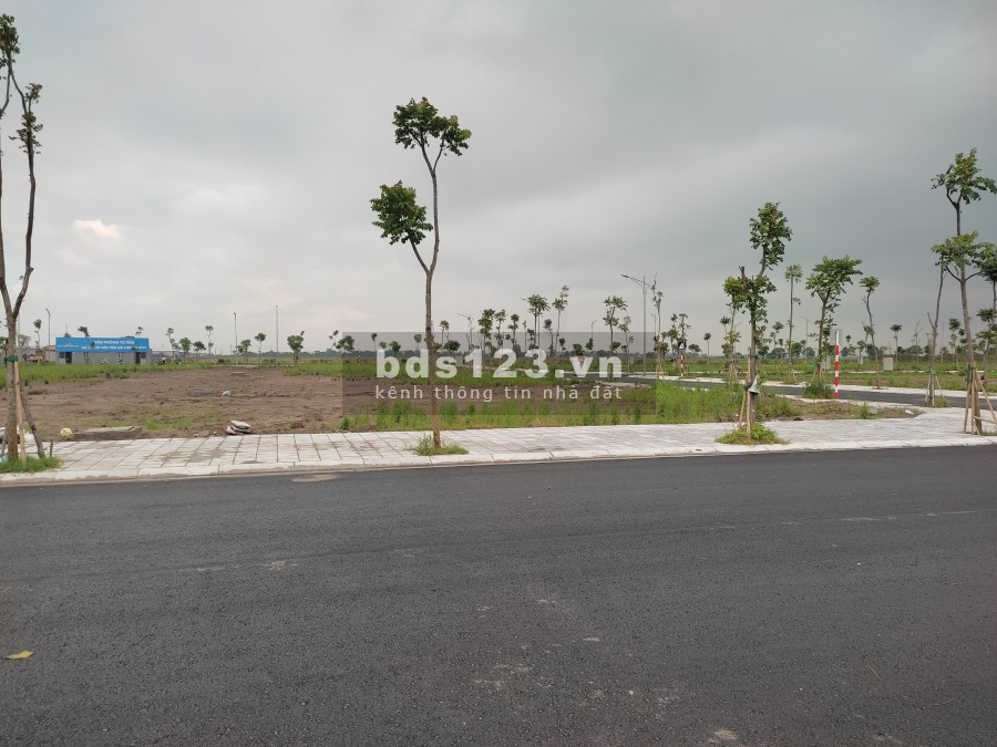 Chỉ 2,3 tỷ sở hữu ngay lô đất nền đấu giá Cạnh khu công nghiệp Tiền Hải Sinh Lời cực tốt
