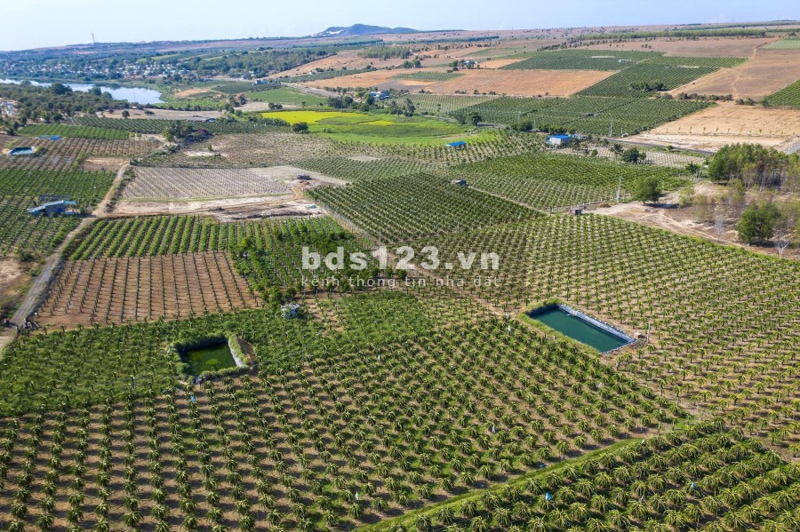 Lô Gần Biển Hòa Thắng Siêu đẹp, 2.000.000m2. Kế bên khu dân cư
