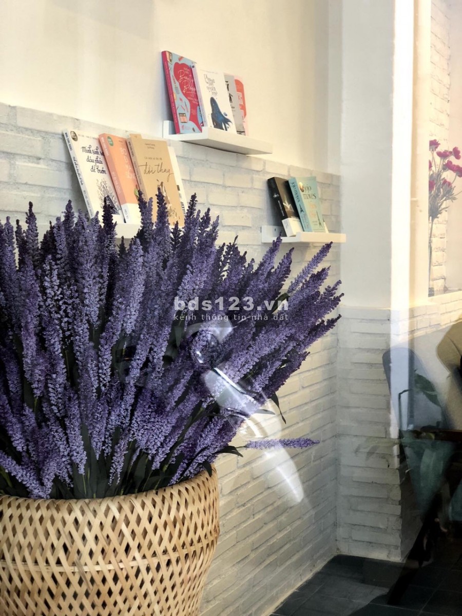 Bán nhà Gò Công P13 Q5 DT: 3,8m x 15.3m 1 trệt 2 lầu