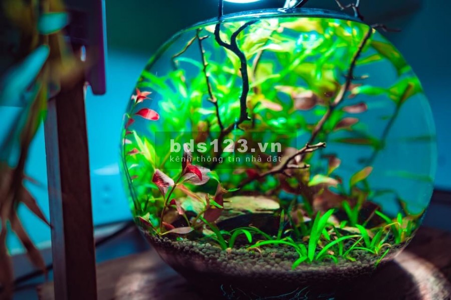 Bán nhà 2 tỷ thông thoáng, sáng, ngõ nông 20m, ra phố, hộ khẩu Hai Bà Trung