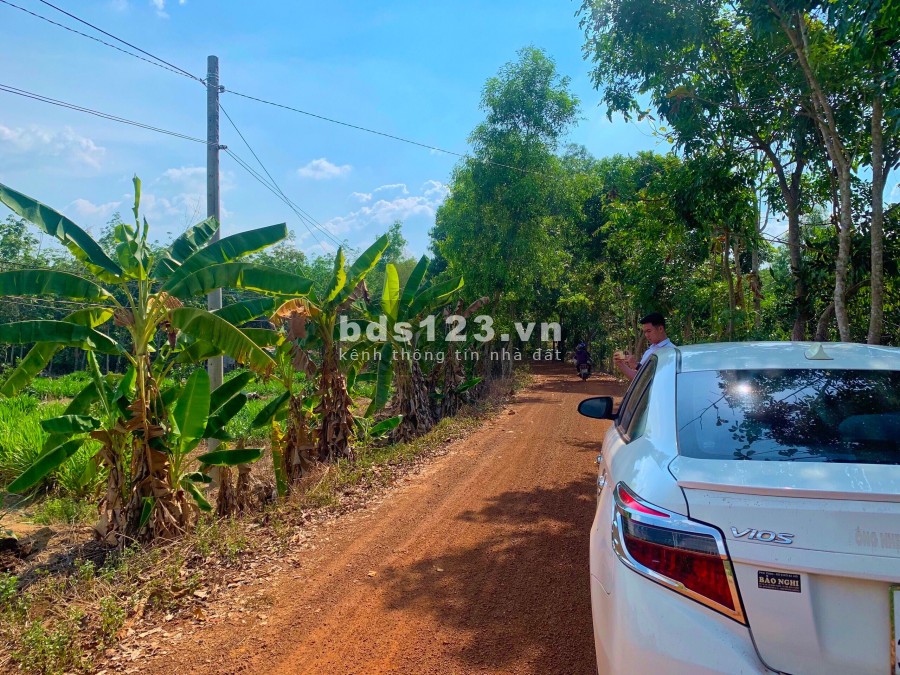 Bán đất 1000m2 ở Bình phước, chính chủ giá rẻ t5/2021