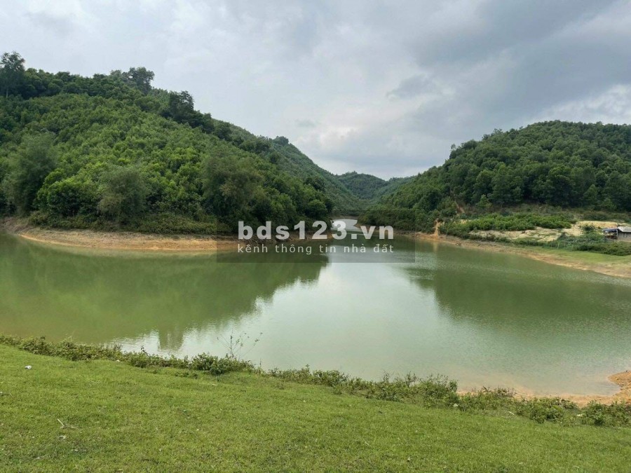 Bán gấp hàng hiếm khó tìm 8ha đất nghĩ dưỡng bám hồ Kim Bôi, Hoà Bình chỉ hơn 3 tỷ