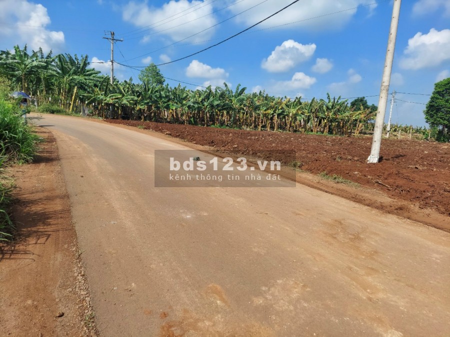 1,2 triệu/m2 đất sào đẹp, giá rẻ ngay cổng khu công nghiệp lớn Phước Bình, sổ hồng riêng