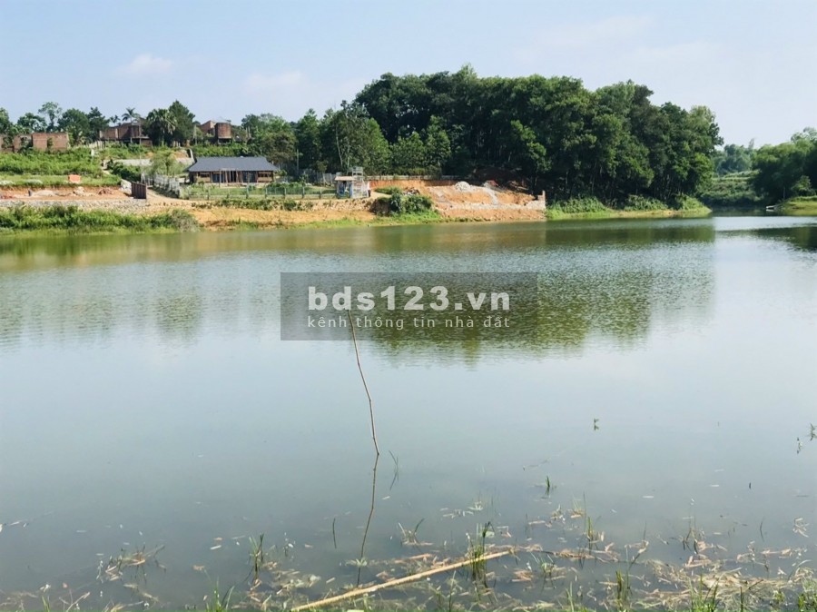 Bán gấp hàng hiếm khó tìm 8ha đất nghĩ dưỡng bám hồ Kim Bôi, Hoà Bình chỉ hơn 3 tỷ