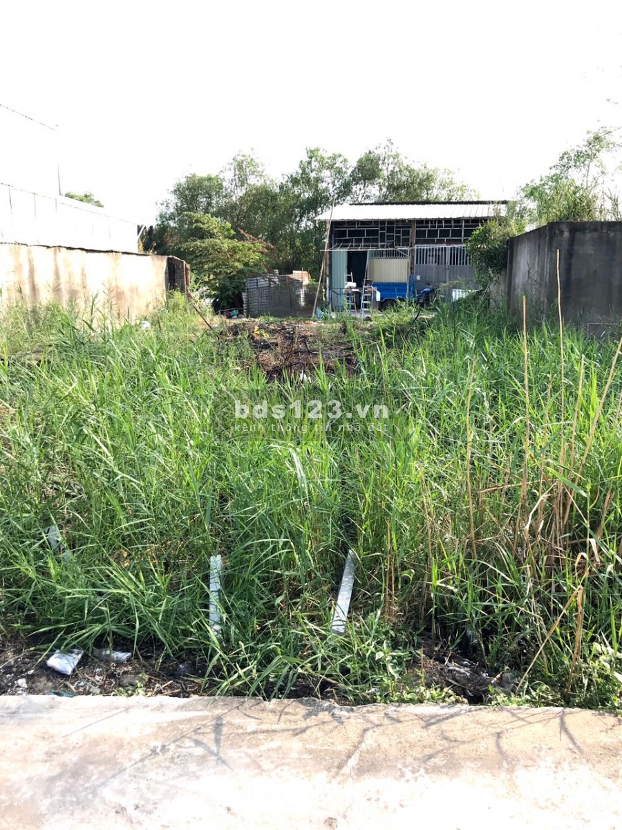 Bán nhanh lô đất HXH Bưng Ông Thoàn- DT: 50m2- 2.75 tỷ