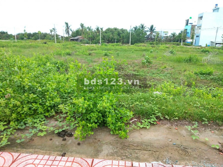 Đất nền chợ mới thạnh Phú CENTER nằm ở thị trấn thạnh Phú