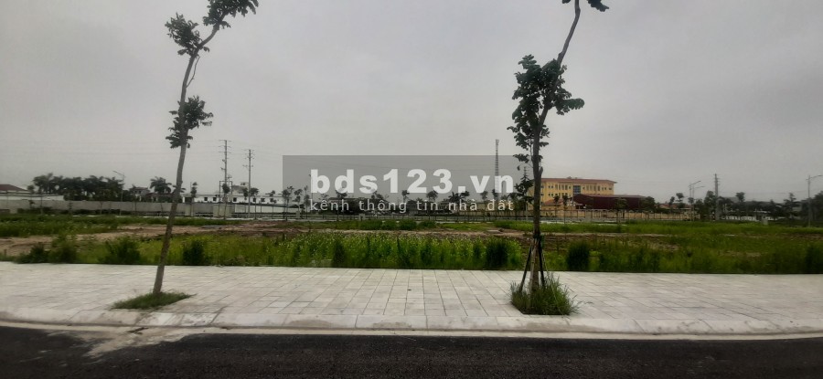Bán đất đấu giá sổ đỏ trung tâm huyện Tiền Hải giá đầu tư 25 triệu/m2 pháp lý chính chủ