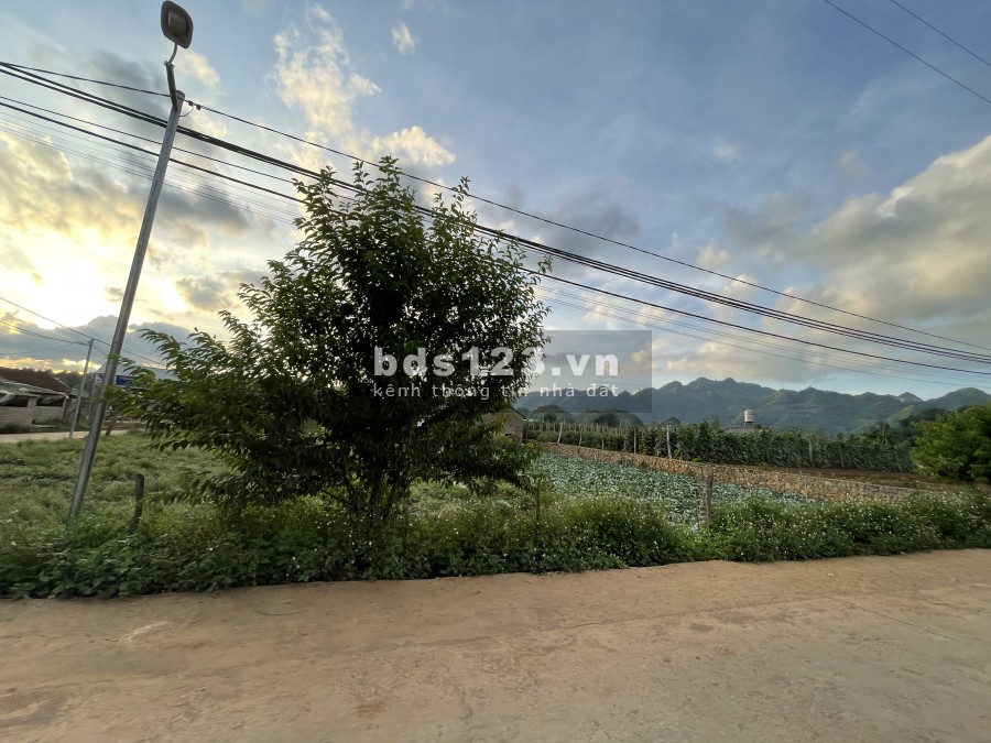 Lô đất Rừng thông Bản Áng Mộc Châu cực đẹp vuông vắn có thổ cư. liên hệ ngay 0822356688