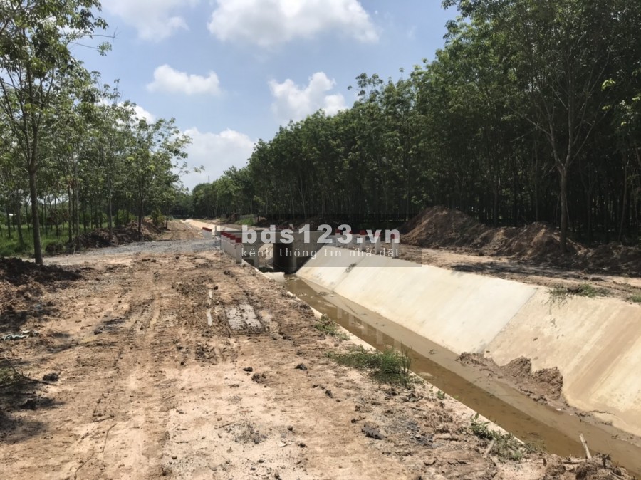 Bán lô đất vườn Củ Chi giá rẻ rộng 2000m2 vuông vức cực đẹp giá 2ty790, sổ hồng riêng