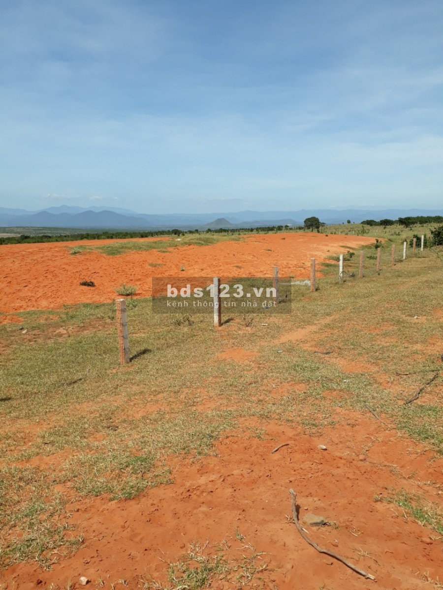 Sổ đổ hơn 4000m2 xã Phan Hiệp cách đường nối sân bay Phan Thiết 95m, giá 125 nghìn/m2, lh 0933.151.296
