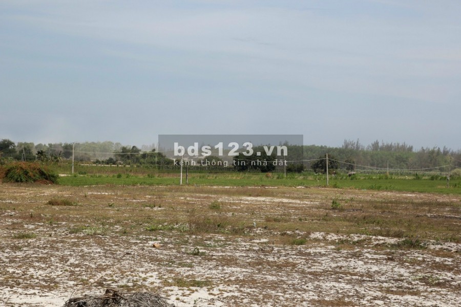 Đất biển chỉ từ 1 triệu/m2, không dính quy hoạch, không tranh chấp, đã có sổ