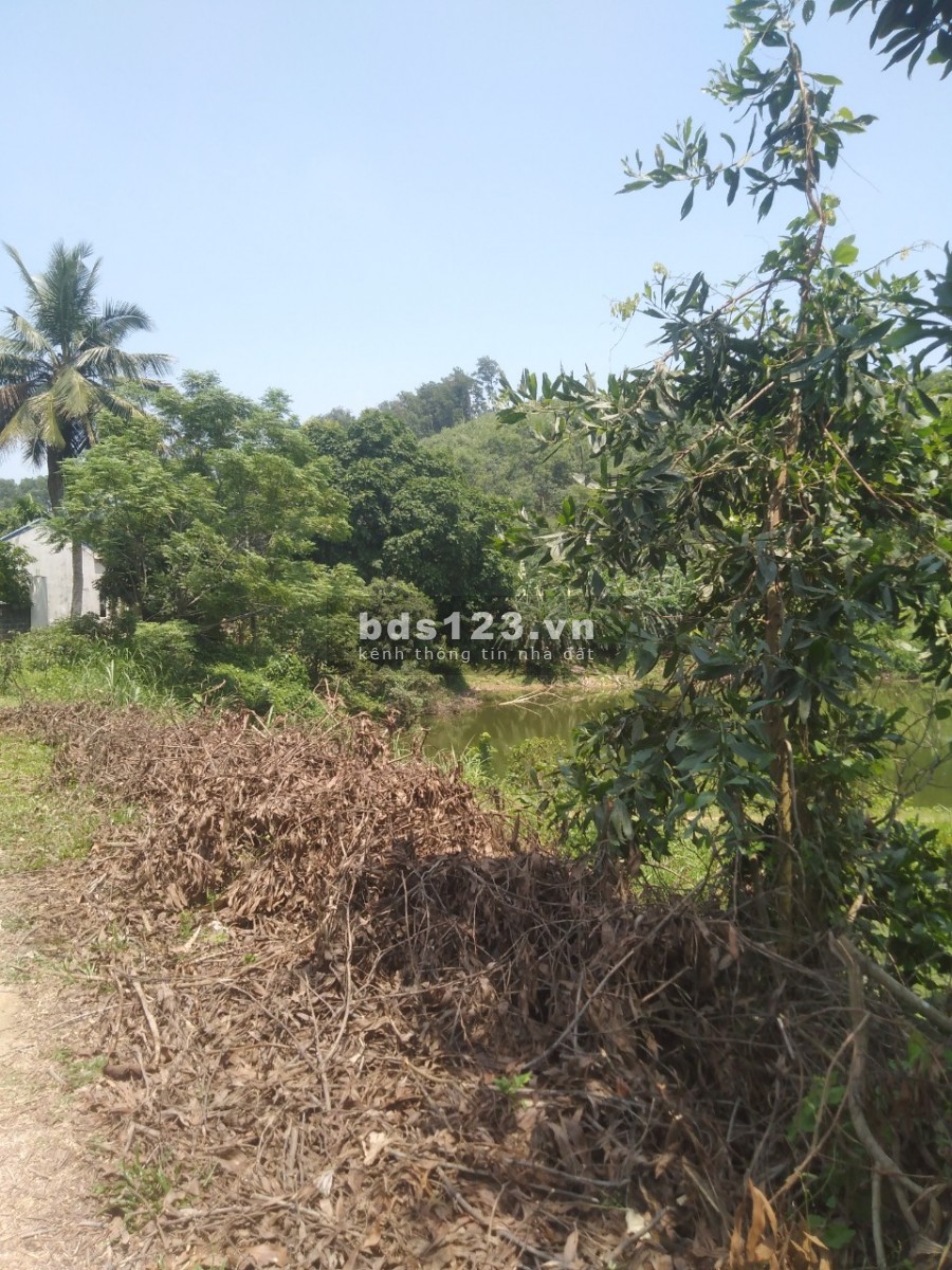 Bán đất nghĩ dường tại Lương Sơn Hoà Bình, lh 0984282380
