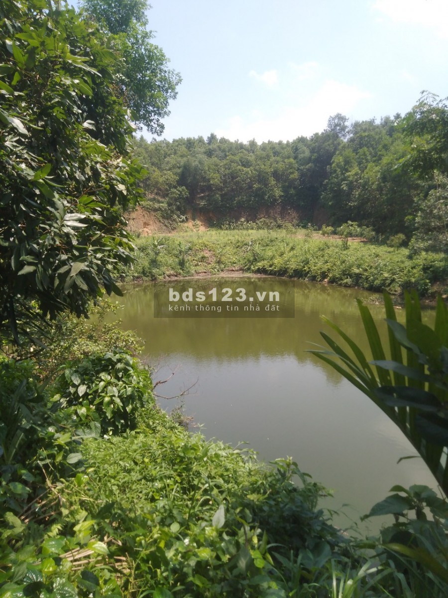 Bán đất nghĩ dường tại Lương Sơn Hoà Bình, lh 0984282380