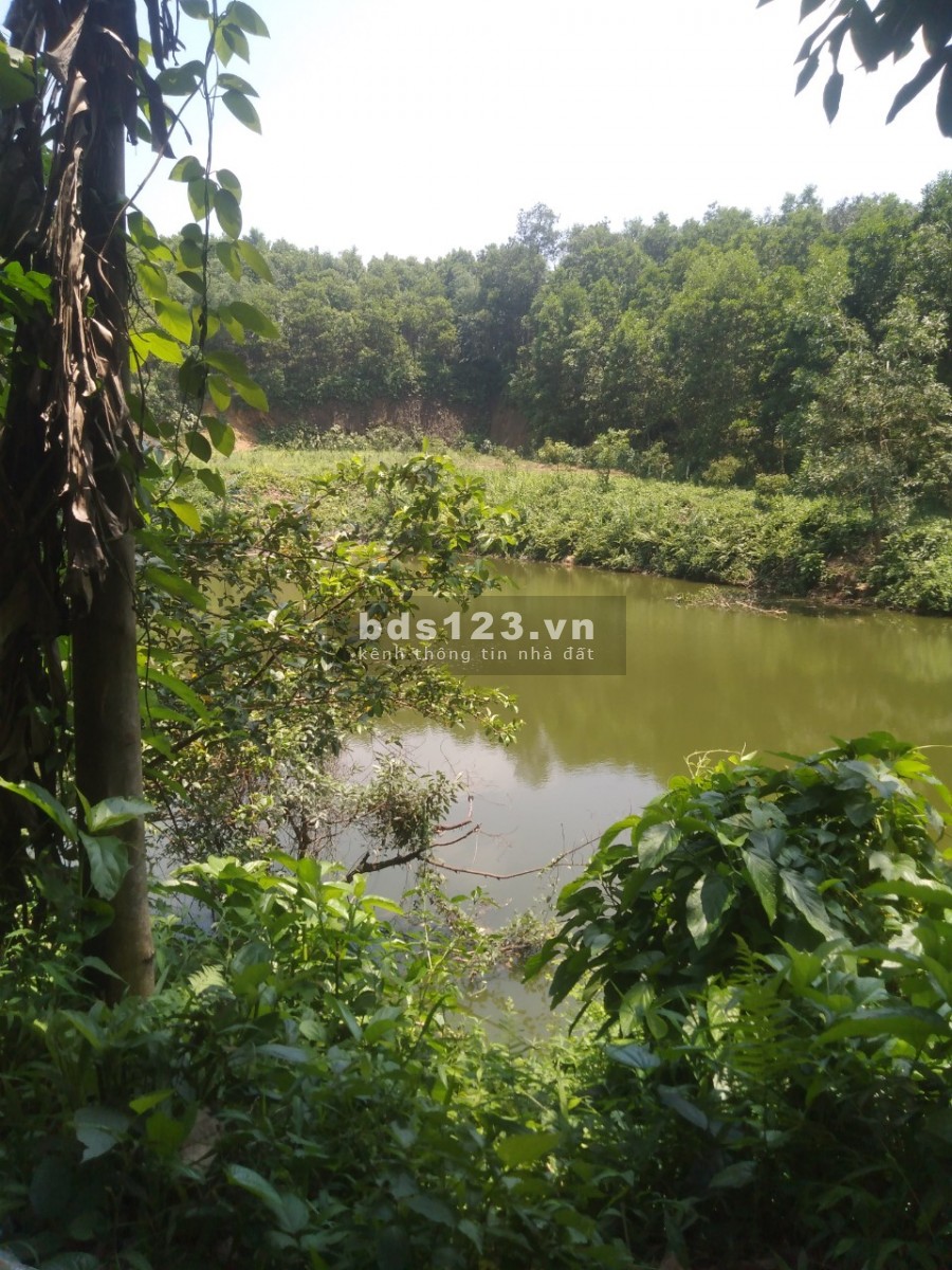 Bán đất nghĩ dường tại Lương Sơn Hoà Bình, lh 0984282380