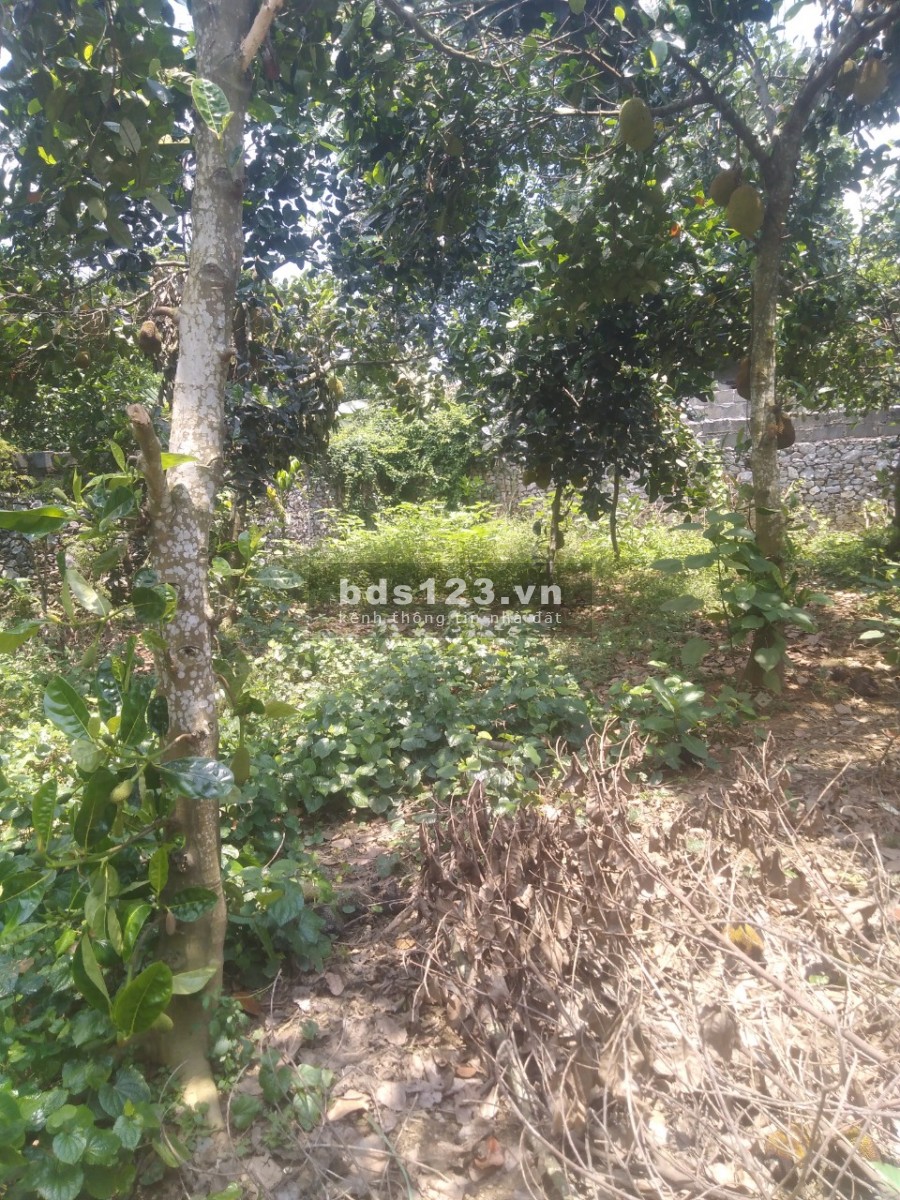 Bán đất nghĩ dường tại Lương Sơn Hoà Bình, lh 0984282380