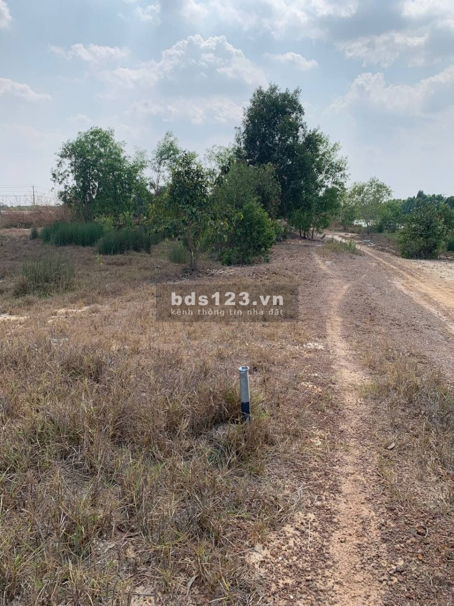 Bán lô đất thổ cư DT 146m2. Đất nền phân lô mặt tiền QL 22 Xuyên Á-Bến Cầu. GIÁ 800 TRIỆU