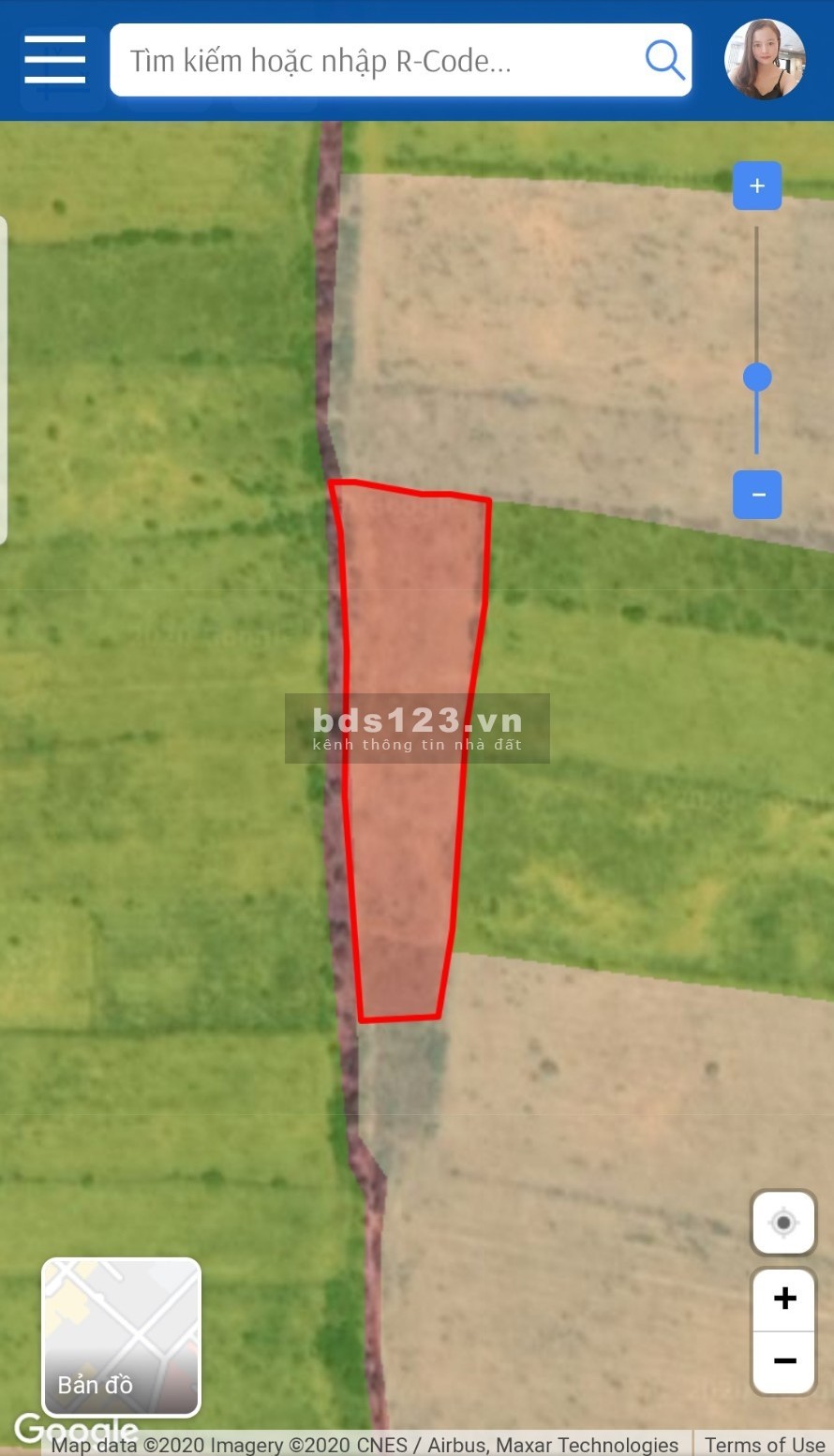 Thanh lý gần 5000m2 sổ đổ gần QL1A mặt tiền đường 158m, bao phí, giá 140 nghìn/m2