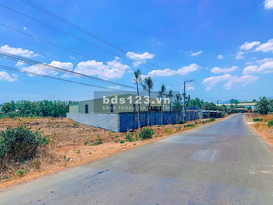 Bán 1100m2 đất ở, đang trồng sẵn bưởi, xoài, có sẵn 100 ONT, cách đường chính chỉ 10m