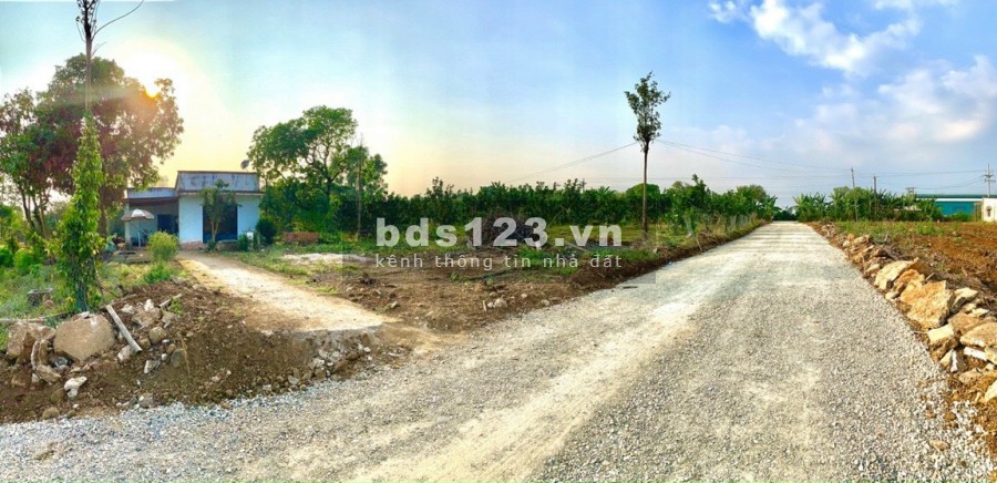 Bán 1100m2 đất ở, đang trồng sẵn bưởi, xoài, có sẵn 100 ONT, cách đường chính chỉ 10m