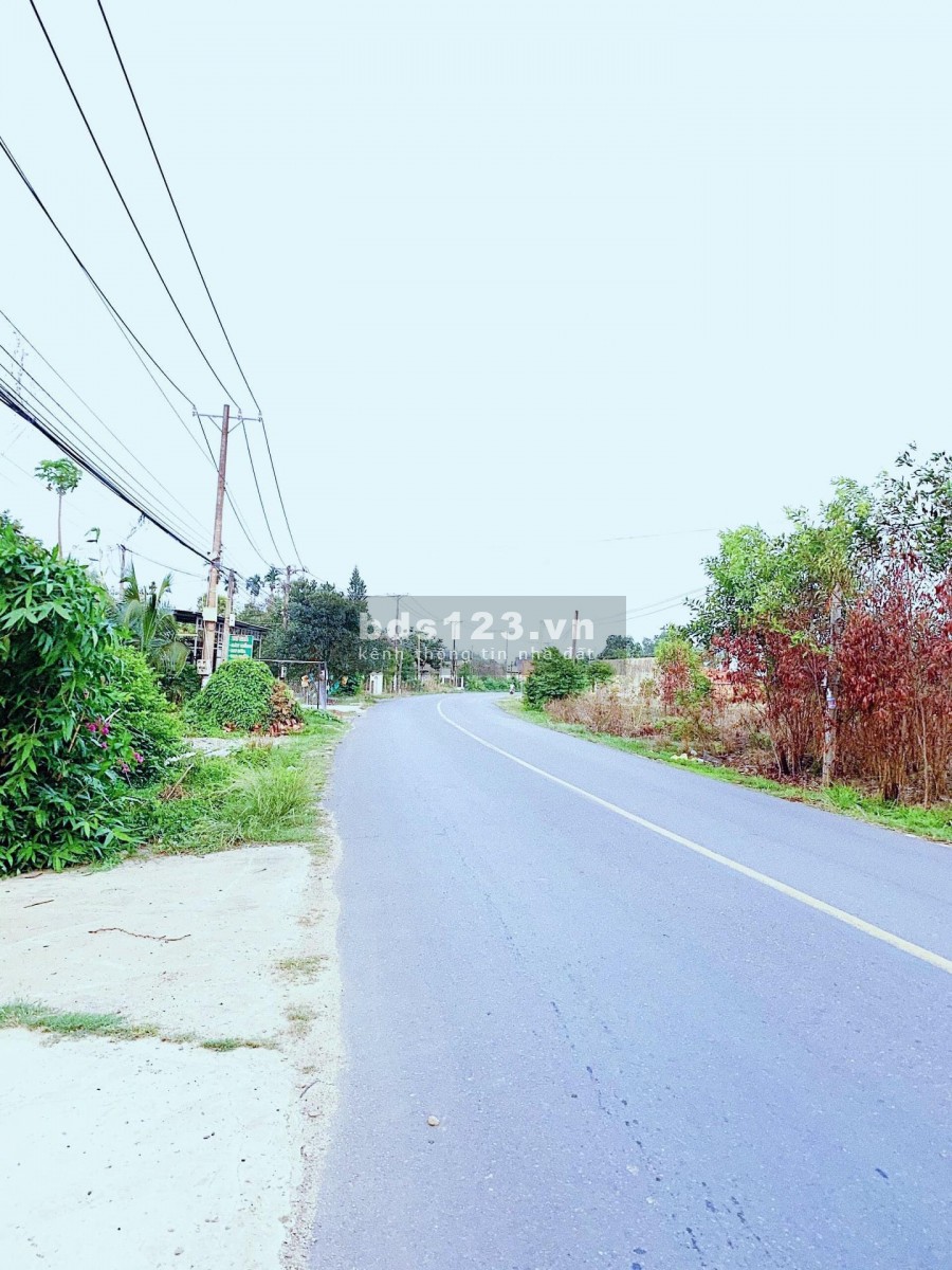 Bán 1100m2 đất ở, đang trồng sẵn bưởi, xoài, có sẵn 100 ONT, cách đường chính chỉ 10m