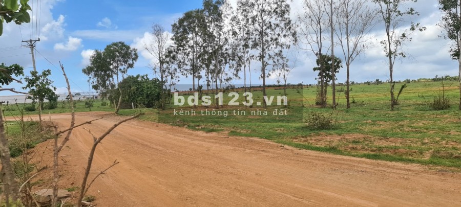 Bán lô đất CÂY LÂU NĂM mặt tiền đường đất cách biển chỉ 2km giá 5xx cực hiếm
